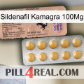 Sildenafil Kamagra 100Mg 41